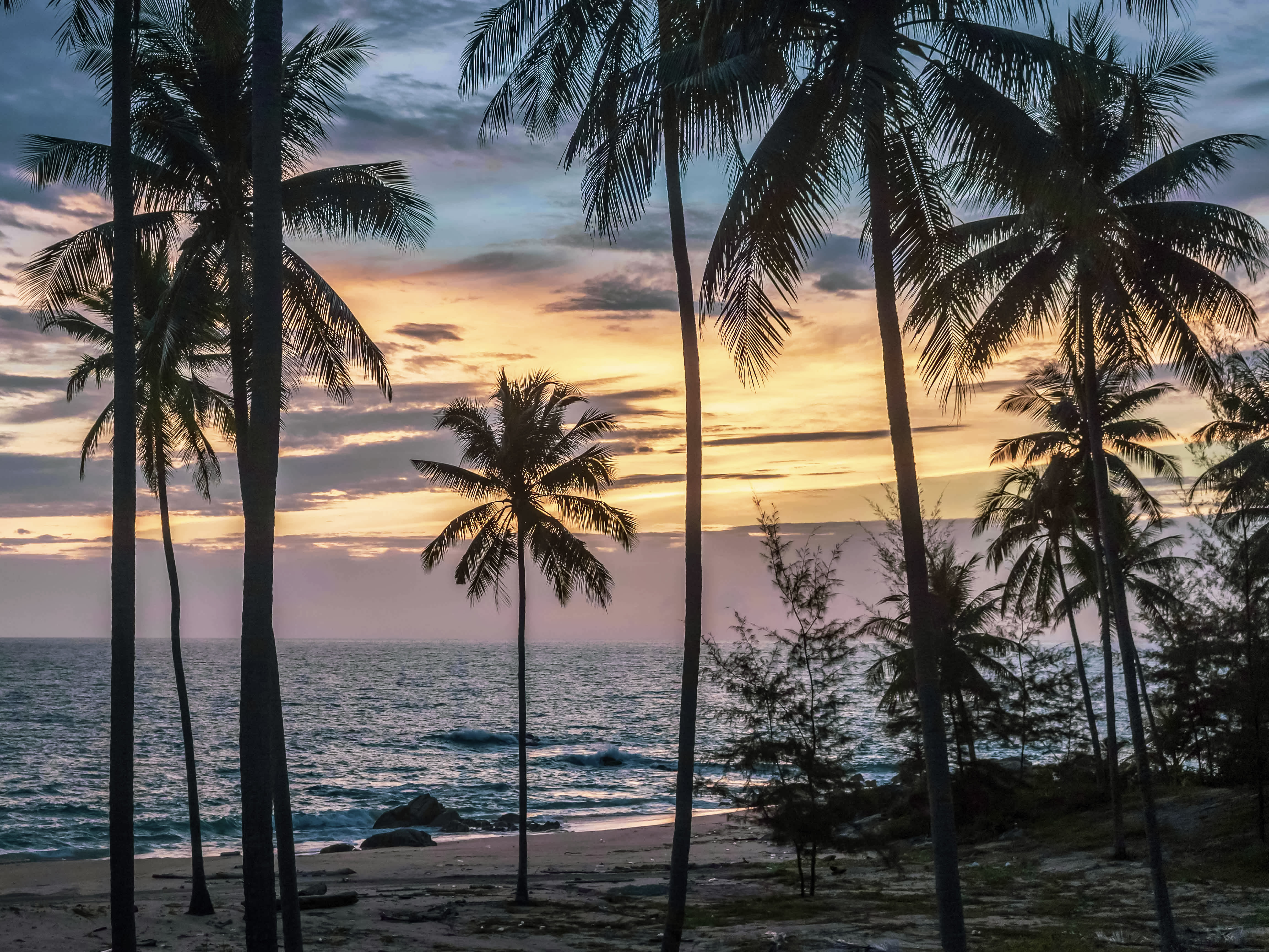 Professional Success